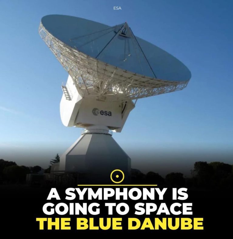 498207274_122192706314287669_4017223269351784709_n