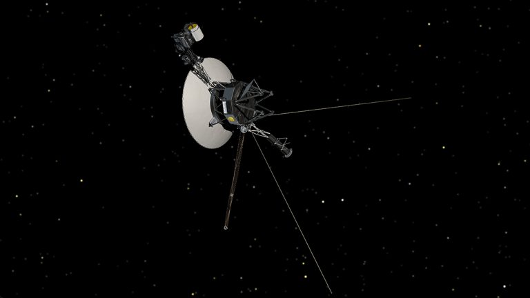 pia17049